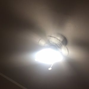 Meet your Posher, Billy